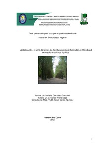 Miniatura