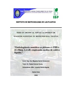 Miniatura