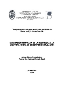 Miniatura