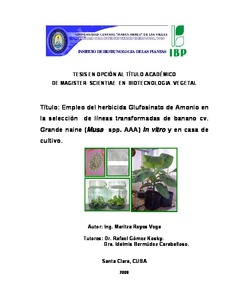 Miniatura
