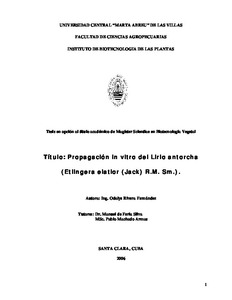 Miniatura