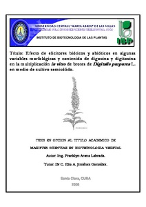 Miniatura