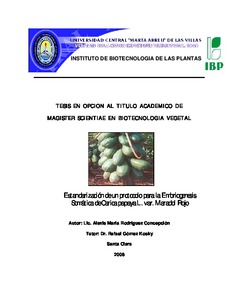 Miniatura