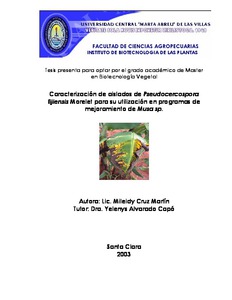 Miniatura