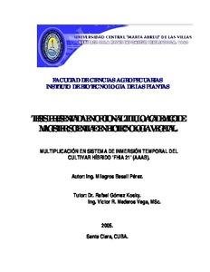 Miniatura