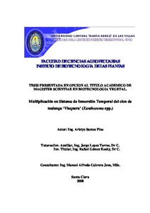Miniatura