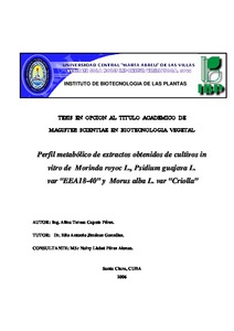 Miniatura