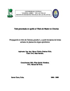 Miniatura